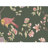 Little Greene Aderyn - Olive Colour
