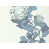 Paint & Paper Library Protea Trail - Blue's Blue