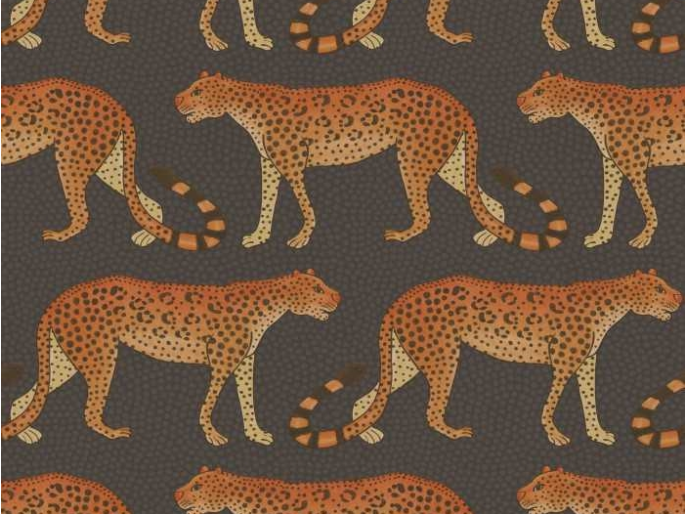 Cole & Son Leopard Walk - 109/2008