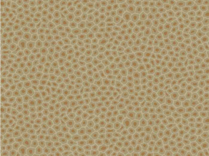 Cole & Son Senzo Spot - 109/6029
