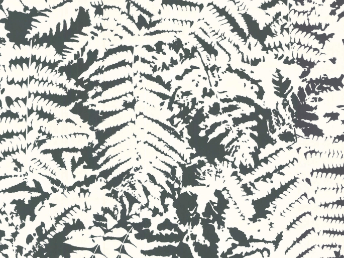 Behang van Little Greene met witte bladeren op een zwarte achtergrond Fern - Off Black