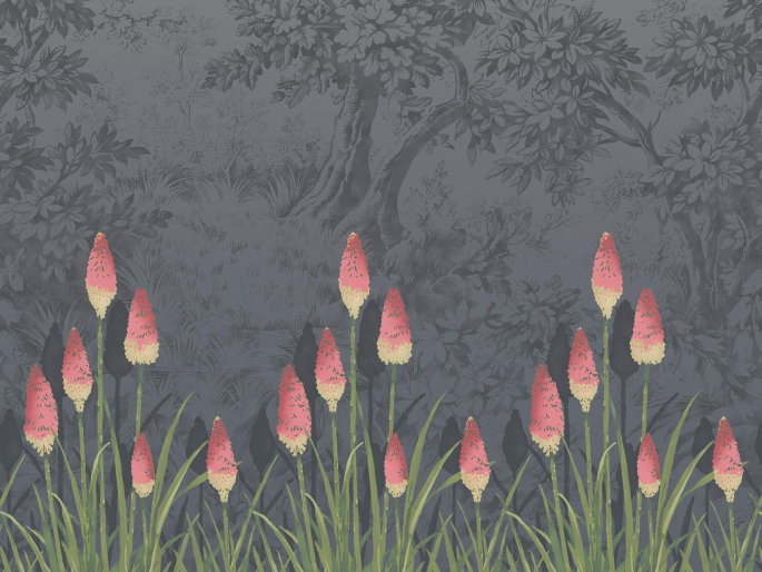 Little Greene Upper Brook Street - Minuit