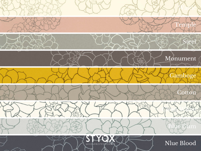 Paint & Paper Library Aeonium - Blue Blood