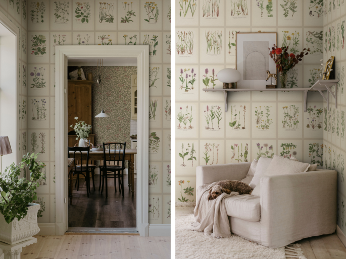 Sandberg Botanica - Oat