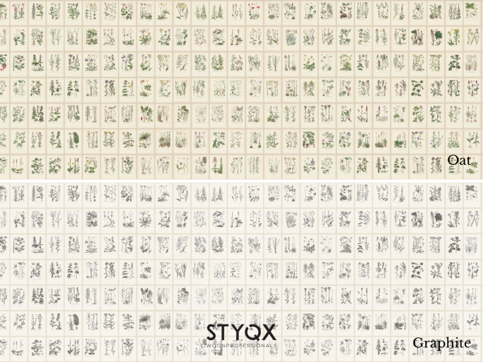 Sandberg Botanica - Oat