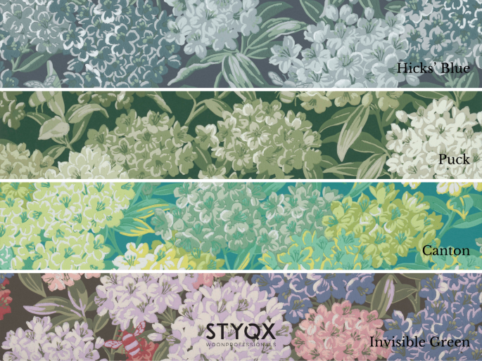 Little Greene Rhododendron Walk - Hicks' Blue