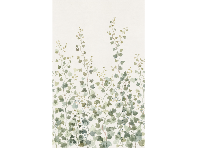 Sandberg Ivy - Green