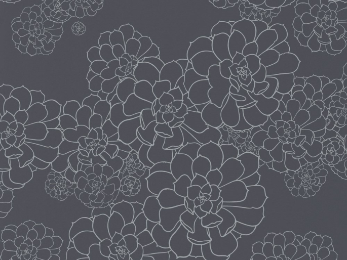 Paint & Paper Library Aeonium - Blue Blood