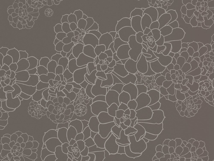 Paint & Paper Library Aeonium - Monument