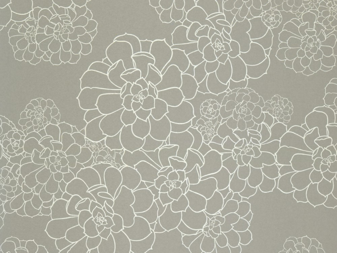 Paint & Paper Library Aeonium - Steel