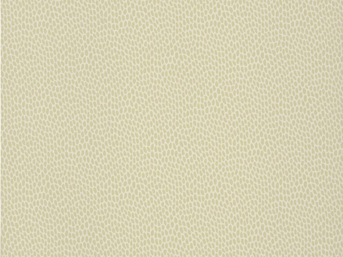 Paint & Paper Library Seedpod - Willow V