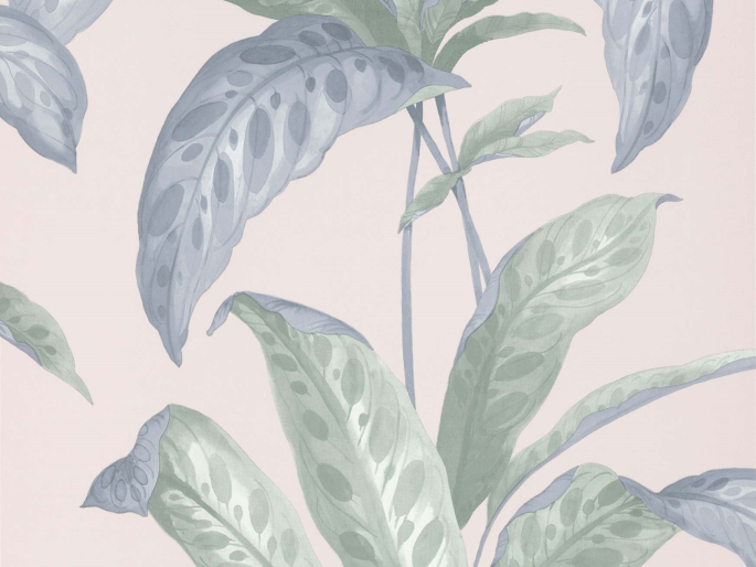 Paint & Paper Library Tropicane - Plaster
