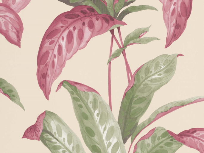 Paint & Paper Library Tropicane - Rhubarb