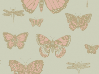 Butterflies & Dragonflies 103/15063