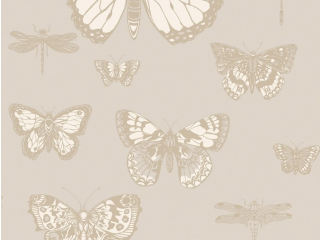 Butterflies & Dragonflies 103/15064
