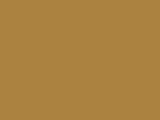 Paint & Paper Library Pure Flat Emulsion - Muga 445