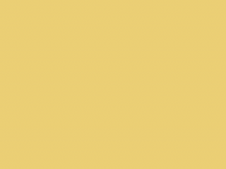 Paint & Paper Library Pure Flat Emulsion - Brimstone 476