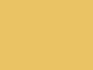 Paint & Paper Library Pure Flat Emulsion - Chinese Emperor 478