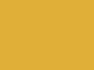 Paint & Paper Library Pure Flat Emulsion - Gamboge 484