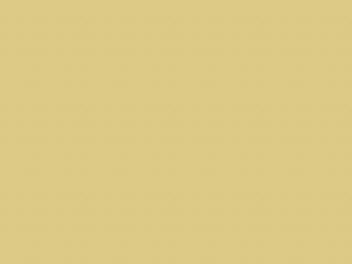 Paint & Paper Library - Scallion 519