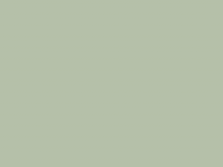 Paint & Paper Library - Sprig V 705