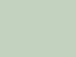 Little Greene - Salix 99