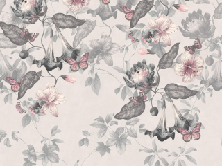 Asterid - Nightshade van Little Greene 