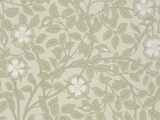 Groene met beige bloemenbehang van Little Greene - Briar Rose - Green Stone