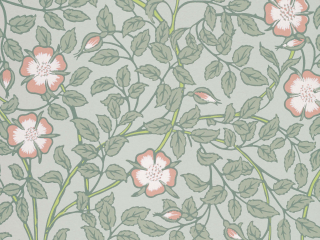 Little Greene Briar Rose - Salix behang met bloemen en bladeren 