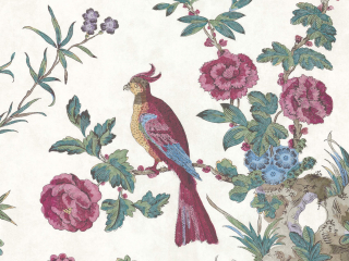 Kleurrijk behang met sierlijke takken met vogels en bloemen waarin diverse kleuren terugkomen Darwin - Serein
