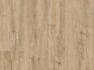 Chanterelle F011
