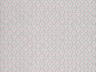 Moy - Pink