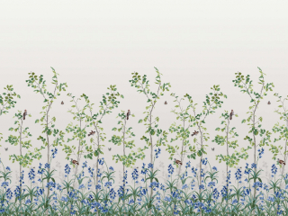 Bird & Bluebell - Ceviche behang met witte achtergrond en blauwe bloemen van Little Greene