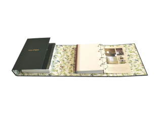 Little Greene Colour Album