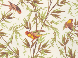 Beige behang met groene en bruine siergrassen waar vogels op zitten Great Ormond Street - Galette van Little Greene