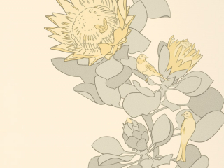 Protea Trail - Clay