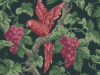 Cole & Son Woodvale Orchard - 116/5020