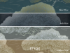 Pines - Ash Pine