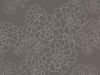 Aeonium - Monument