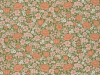 Little Greene Springflowers - Garden