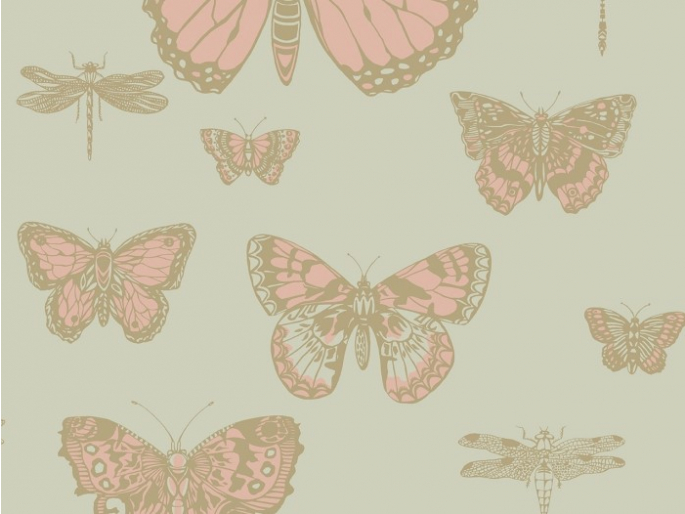 Butterflies & Dragonflies 103/15063