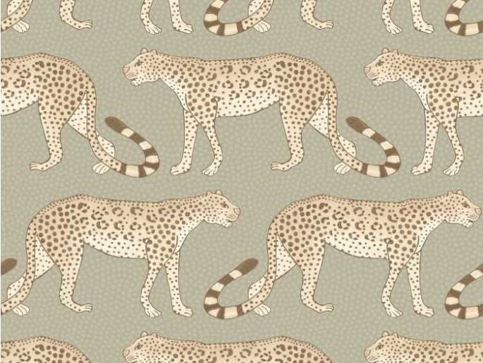 Cole & Son Leopard Walk - 109/2009