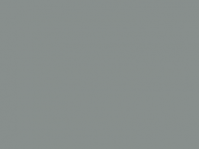 Paint & Paper Library Architects' Matt - Tallanstown Grey 109
