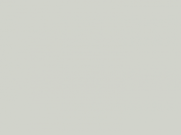 Paint & Paper Library Pure Flat Emulsion - Cotton IV 134