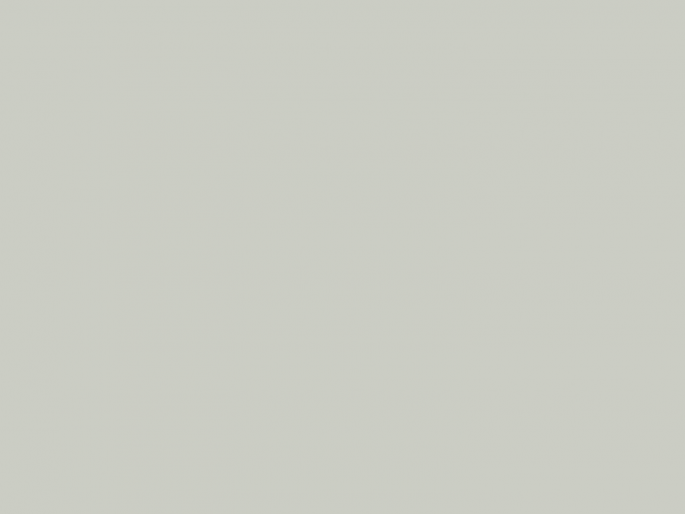 Paint & Paper Library Pure Flat Emulsion - Cotton V 135