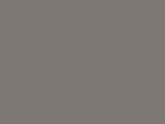 Paint & Paper Library Pure Flat Emulsion - Monument 151