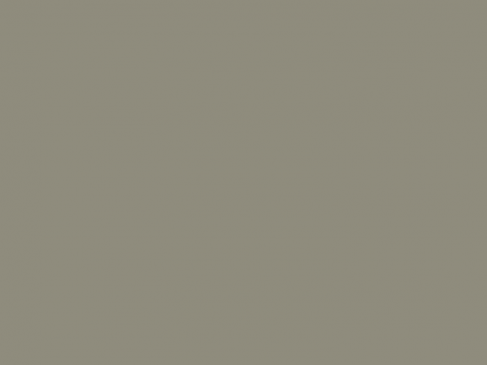 Paint & Paper Library Pure Flat Emulsion - Sharkskin 168
