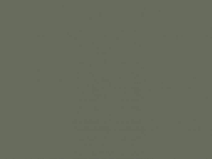 Paint & Paper Library Pure Flat Emulsion - Hornblende 186