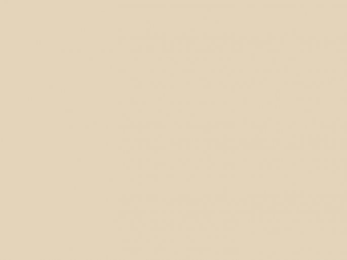 Paint & Paper Library Pure Flat Emulsion - Leather III 233