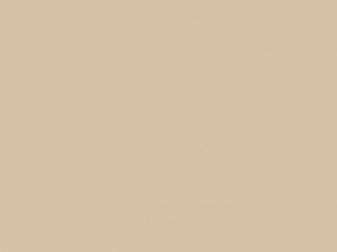 Paint & Paper Library Architects' Matt - Leather IV 234